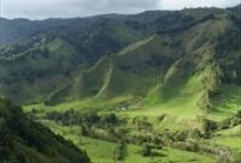 Salento and Valle del Cocora Tour